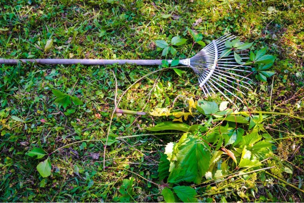 green waste removal