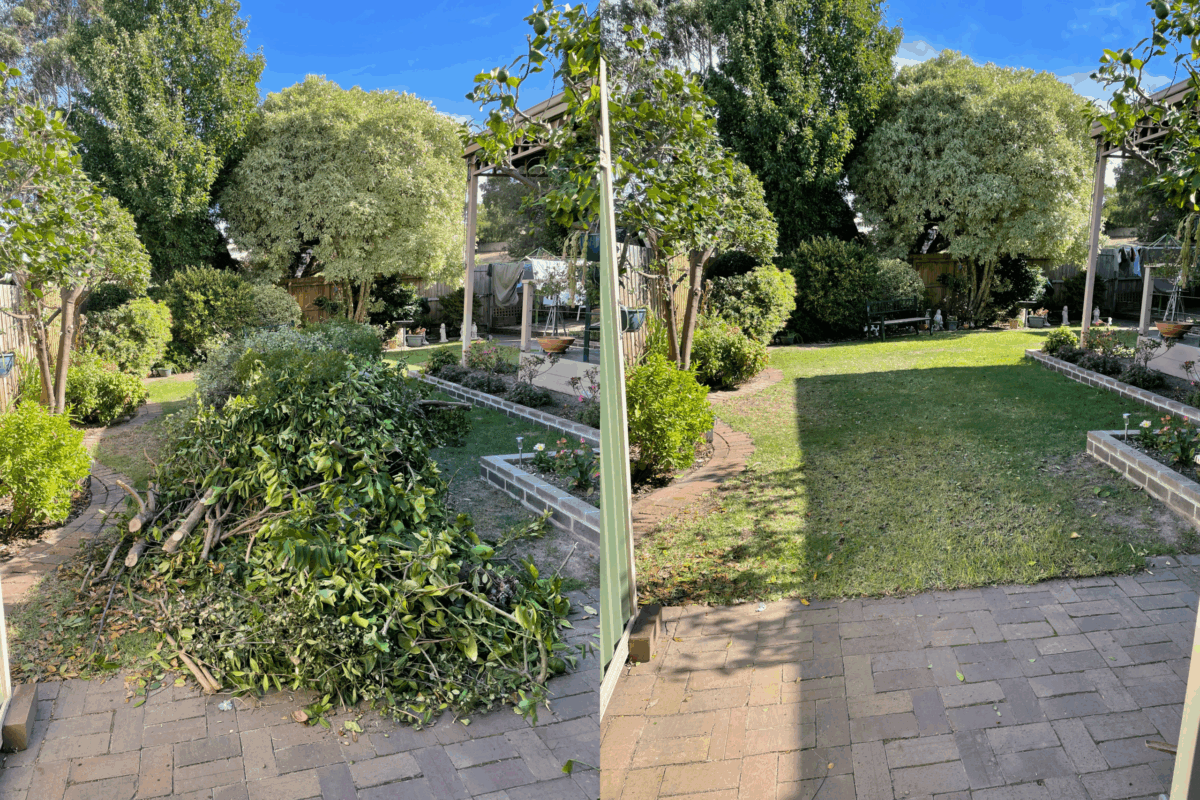 Green Waste Removal Brighton