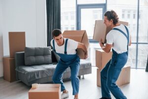 Professional removalists carrying boxes during a deceased estate rubbish removal process in a Melbourne home. Credit: Sofa Stock photos by Vecteezy