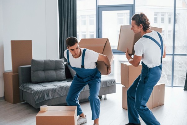 Professional removalists carrying boxes during a deceased estate rubbish removal process in a Melbourne home. Credit: Sofa Stock photos by Vecteezy
