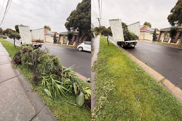 Green Waste Removal in Preston
