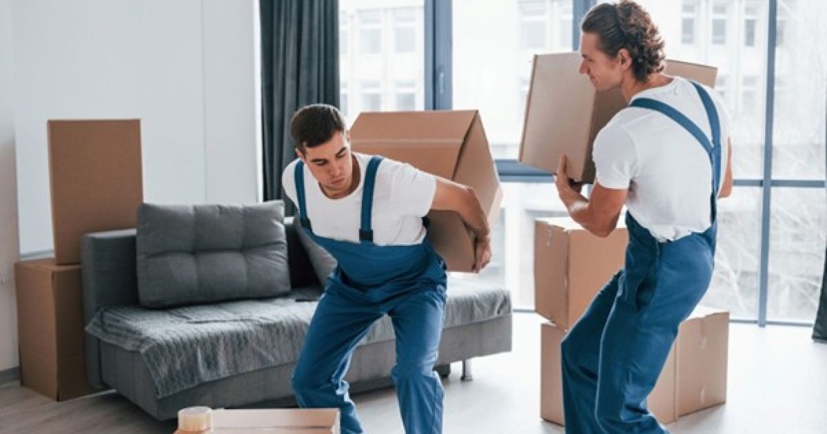 Professional removalists carrying boxes during a deceased estate rubbish removal process in a Melbourne home. Credit: Sofa Stock photos by Vecteezy