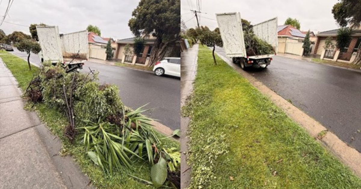 Kerbside green waste removal in Preston with shrubs and palm fronds cleared by Go Easy Rubbish Removal
