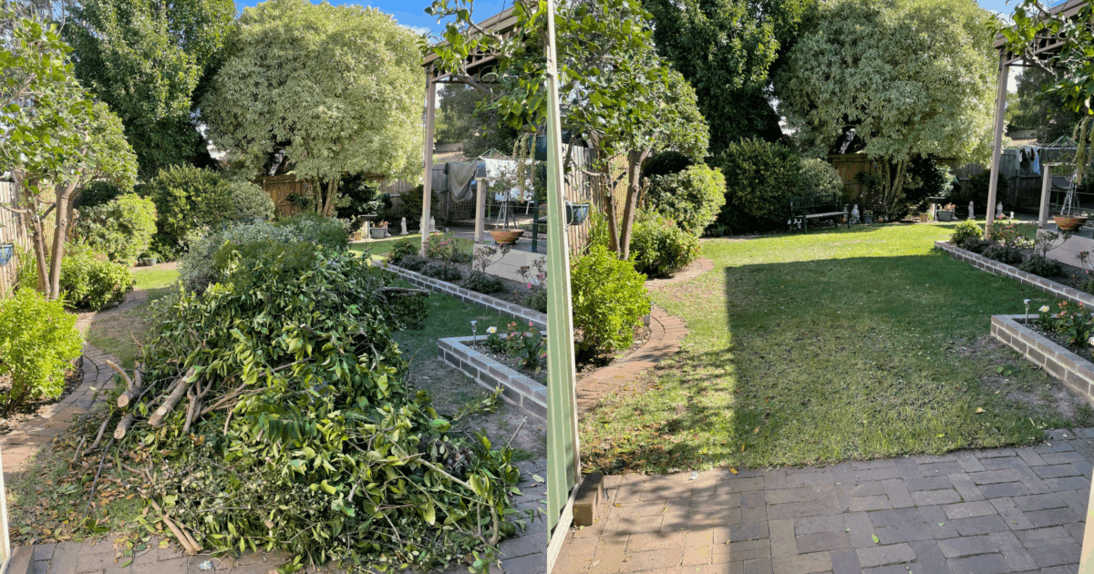 Green Waste Removal Brighton